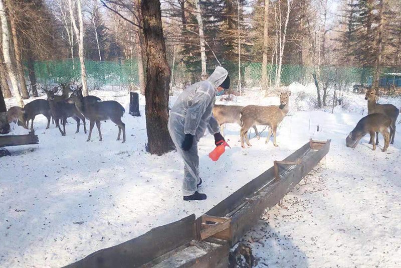 5.jpg 5.jpg