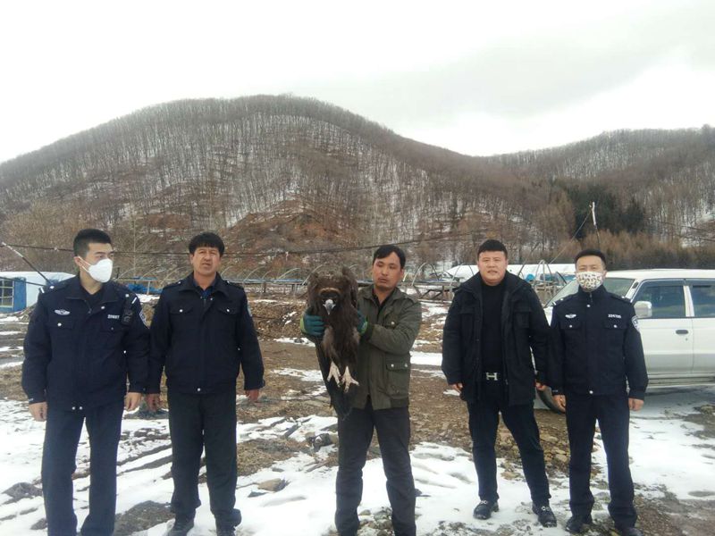 图片2_副本.jpg 图片2_副本.jpg
