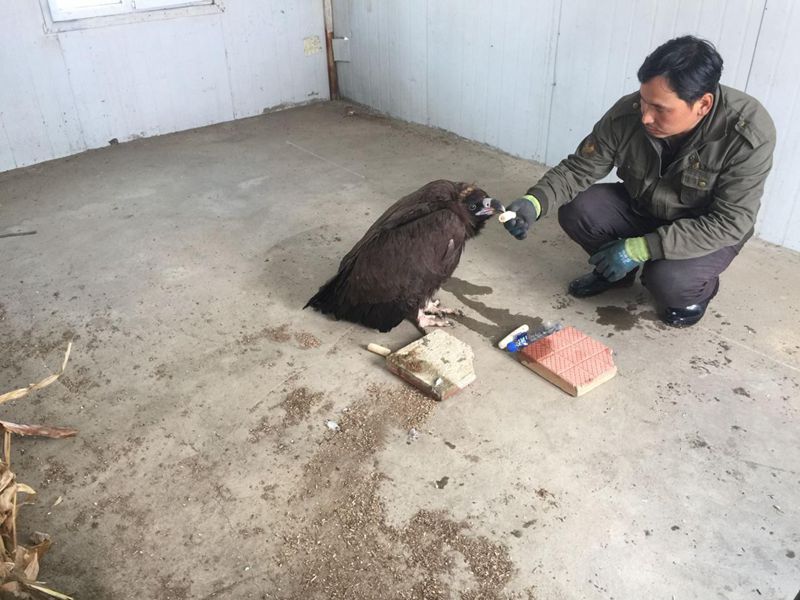 图片4_副本.jpg 图片4_副本.jpg