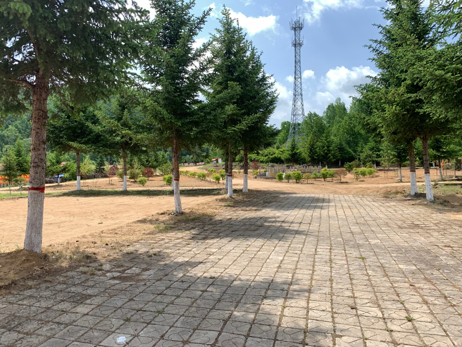 01 整治后2.JPG 01 整治后2.JPG