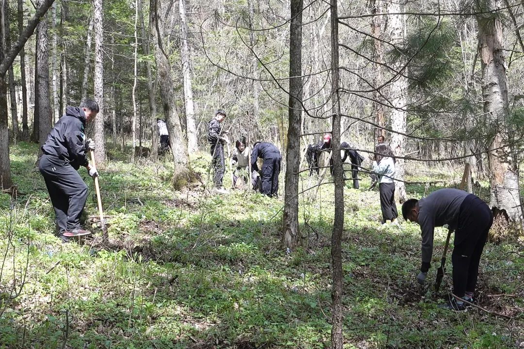 4.jpg 4.jpg